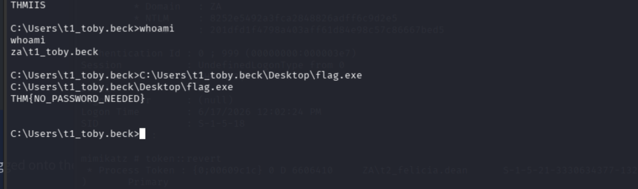 flag.exe output from Toby Beck's desktop on THMIIS